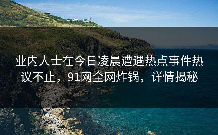 业内人士在今日凌晨遭遇热点事件热议不止,91网全网炸锅,详情揭秘 业内人士在今日凌晨遭遇热点事件热议不止,91网全网炸锅,详情揭秘