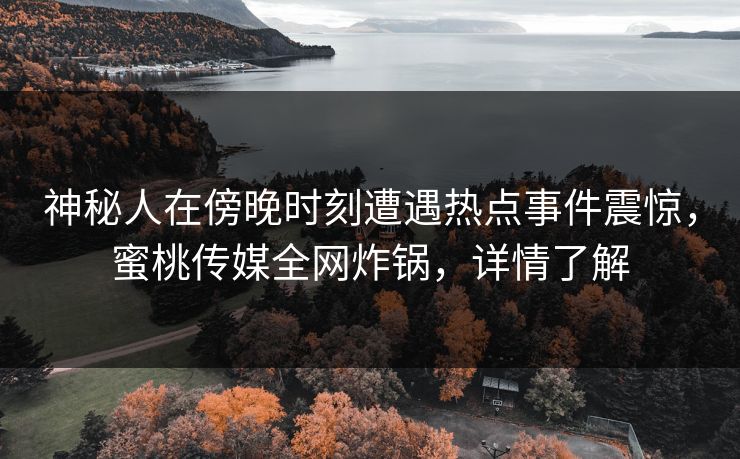 神秘人在傍晚时刻遭遇热点事件震惊，蜜桃传媒全网炸锅，详情了解