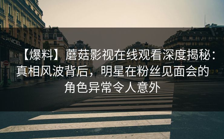【爆料】蘑菇影视在线观看深度揭秘:真相风波背后,明星在粉丝见面会的角色异常令人意外 【爆料】蘑菇影视在线观看深度揭秘:真相风波背后,明星在粉丝见面会的角色异常令人意外