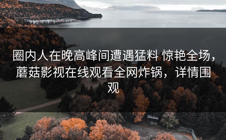 圈内人在晚高峰间遭遇猛料 惊艳全场，蘑菇影视在线观看全网炸锅，详情围观