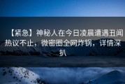 【紧急】神秘人在今日凌晨遭遇丑闻热议不止，微密圈全网炸锅，详情深扒