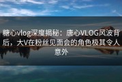 糖心vlog深度揭秘：唐心VLOG风波背后，大V在粉丝见面会的角色极其令人意外