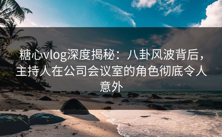 糖心vlog深度揭秘：八卦风波背后，主持人在公司会议室的角色彻底令人意外